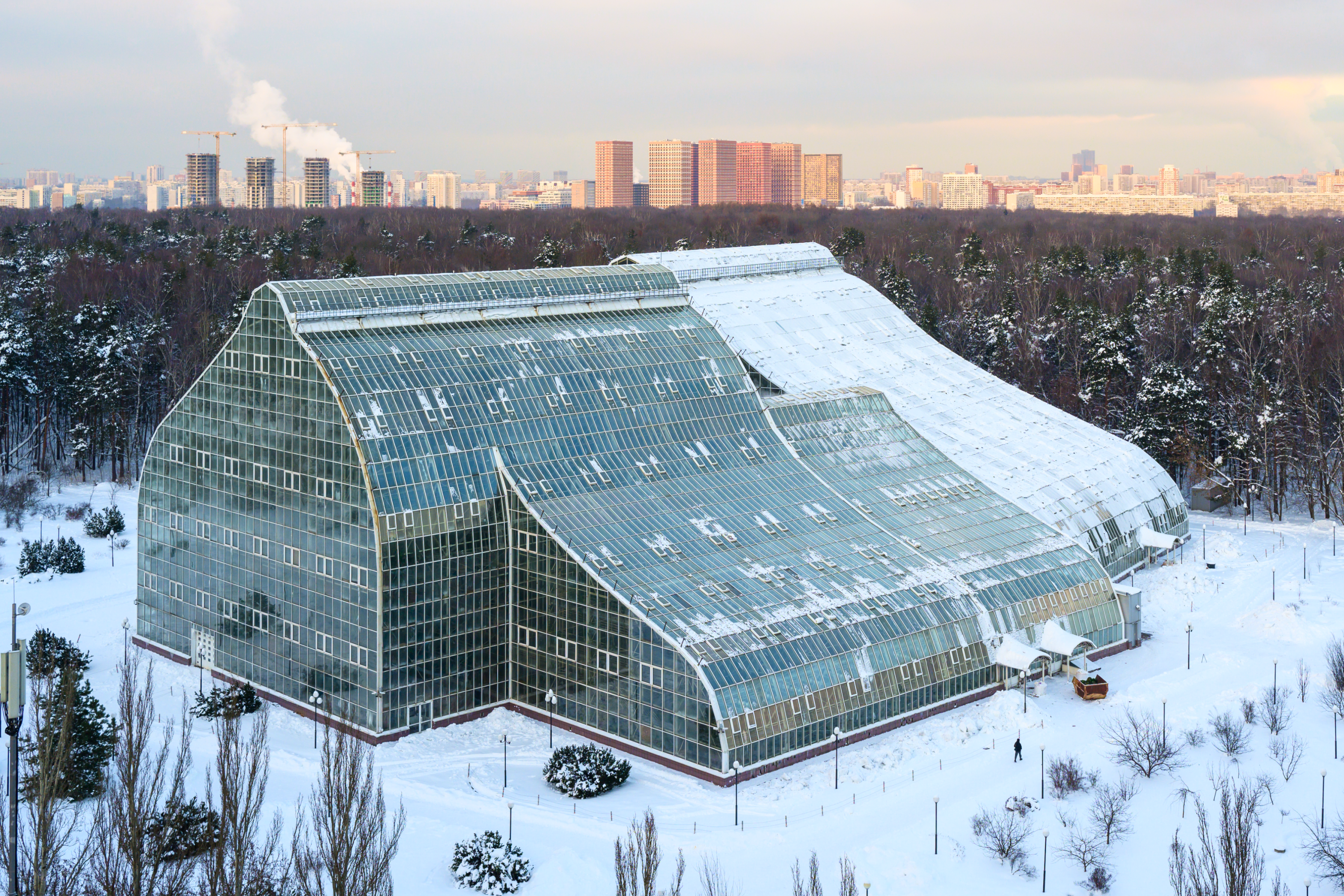 ХС _сайт_09.png